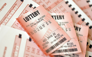 nagaland state lottery result